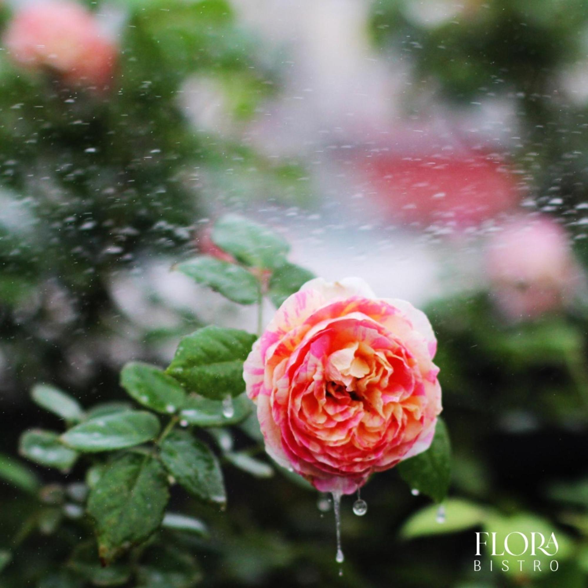 The Bloom Pham Viet Chanh - Modern Living Space In Saigon Cidade de Ho Chi Minh Exterior foto